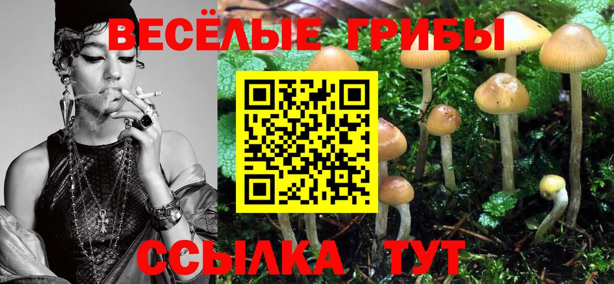 Корсаков  Галлюциногенные грибы GOLDEN TEACHER  Галлюциногенные грибы GOLDEN TEACHER  Вход с VPN 