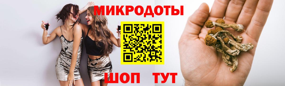 Псилоцибиновые грибы мицелий Корсаков